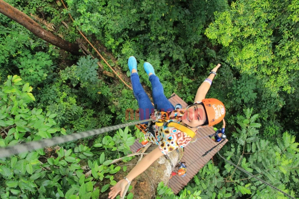 Woman enjoying a thrilling zipline experience in Phuket, Thailand's vibrant green forest.