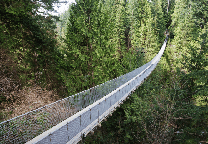 Suspension bridge safety railings with net panels