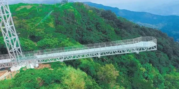Tempered laminated glass bridge structure